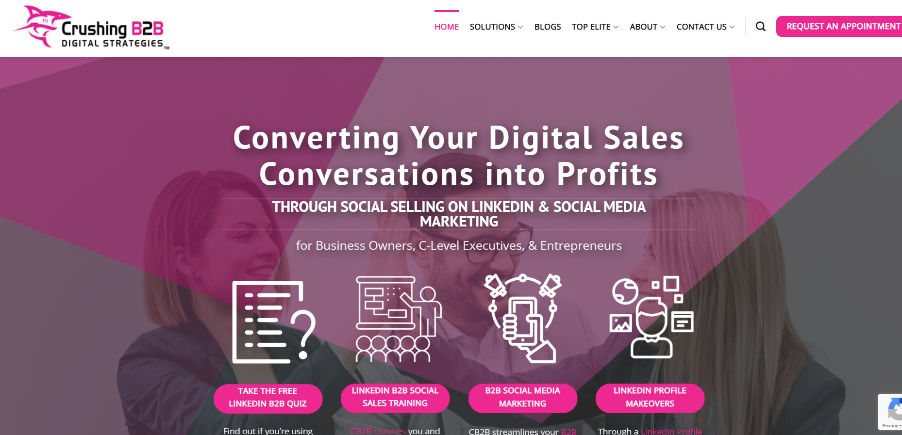 Crushing B2B Digital Strategies screenshot